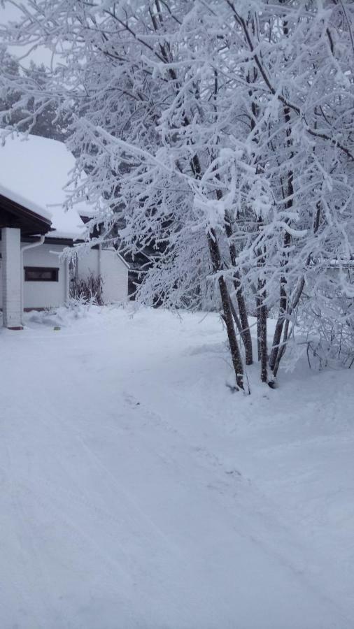 The House Near Santa Park Villa Рованиеми Екстериор снимка