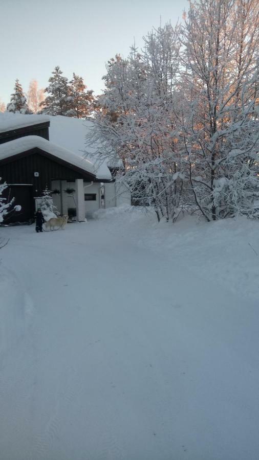 The House Near Santa Park Villa Рованиеми Екстериор снимка