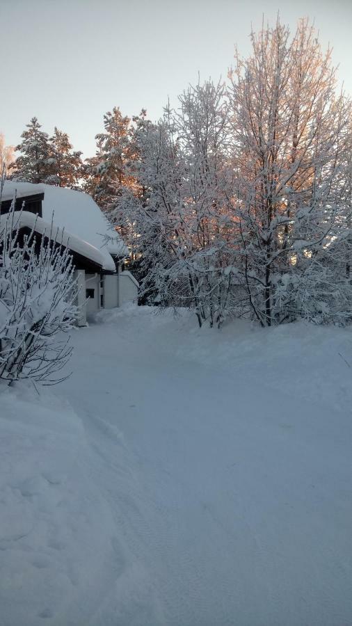 The House Near Santa Park Villa Рованиеми Екстериор снимка