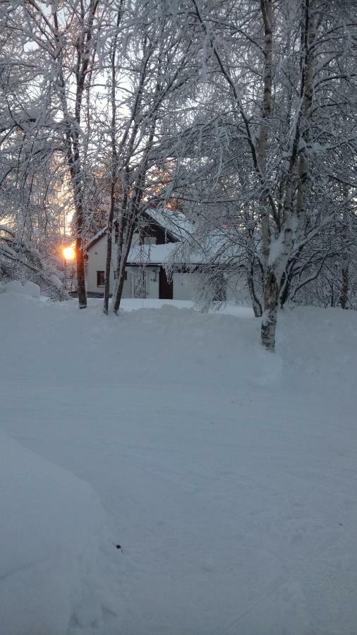 The House Near Santa Park Villa Рованиеми Екстериор снимка